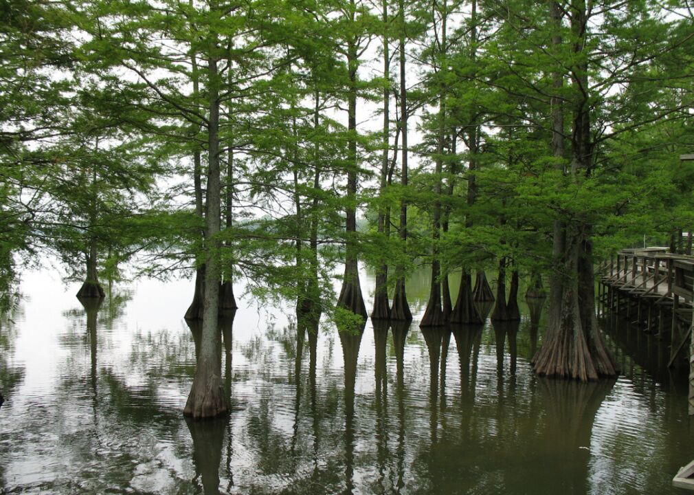 Louisiana: East Carroll Parish